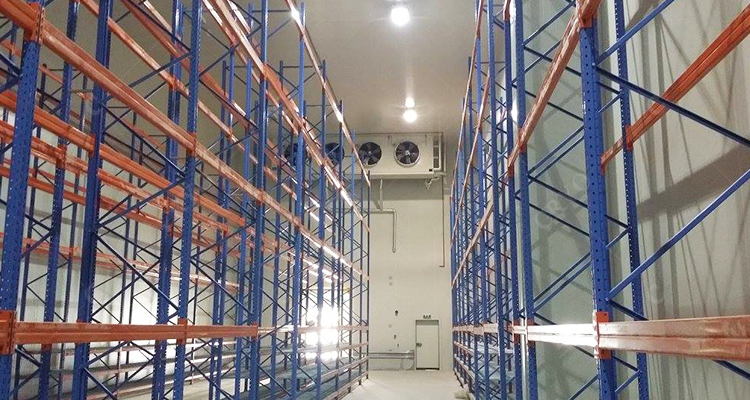 8m height big cold storage warehouse