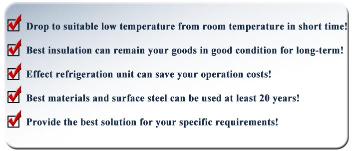 features of Deep freezer cold room